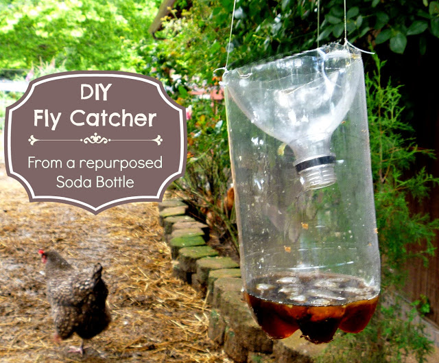 DIY Fly Catcher pest control